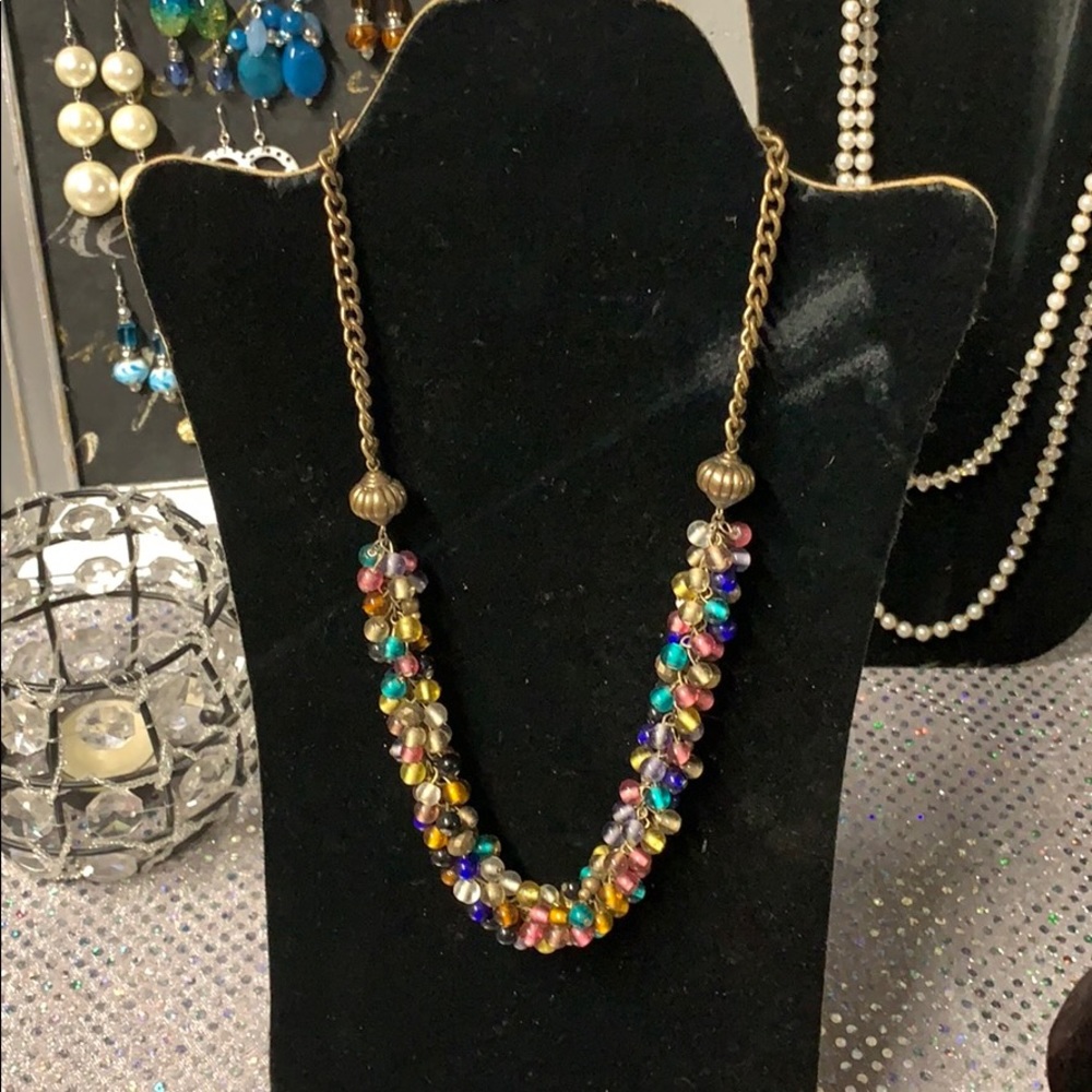 Brand New Multi Colored Necklace